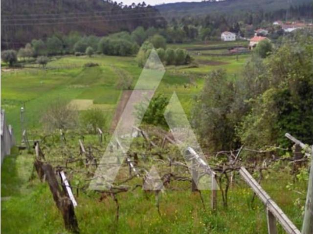 Terreno venda em Caminha (Matriz) e Vilarelho, Arga De Baixo