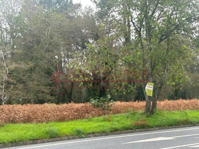 Terreno venda em Caminha (Matriz) e Vilarelho, Arga De Baixo