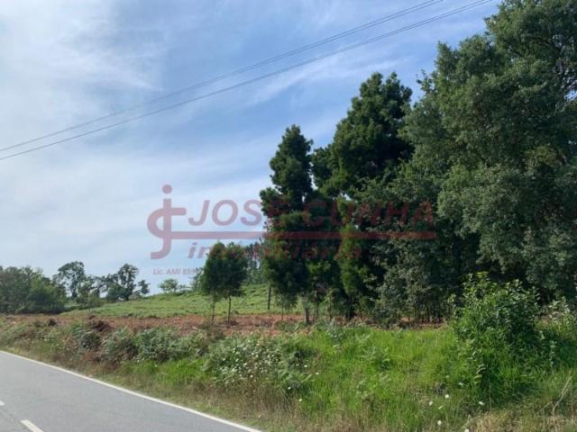 Terreno venda em Caminha (Matriz) e Vilarelho, Arga De Baixo