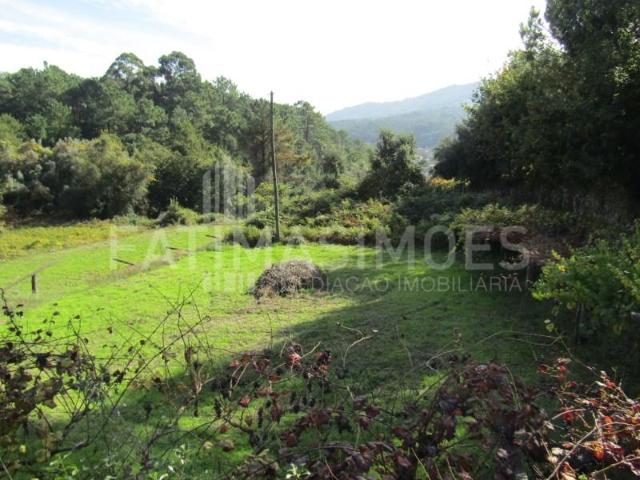 Terreno venda em Caminha (Matriz) e Vilarelho, Arga De Baixo