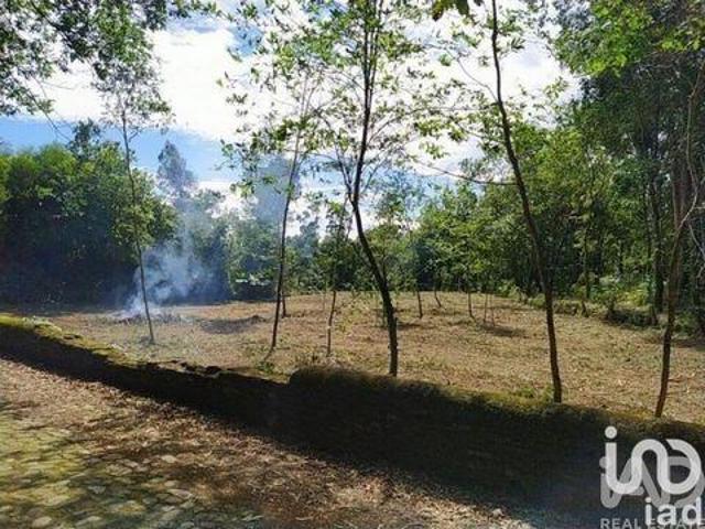 Terreno venda em Arga De Baixo, Viana Do Castelo