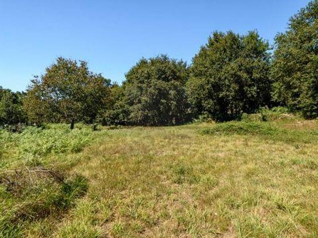 Terreno venda em Arga De Baixo, Viana Do Castelo
