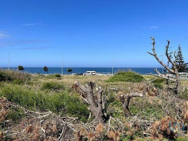 Terreno venda em Gelfa, Arga De Baixo
