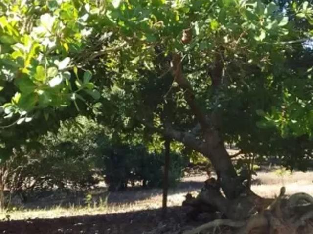 Fazenda venda em Região Geográfica Imediata do Rio de Janeiro, Região Metropolitana do Rio de Janeiro