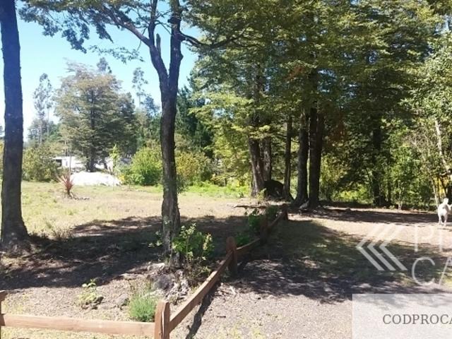 Camino A Caburgua Km 7/, Pucón