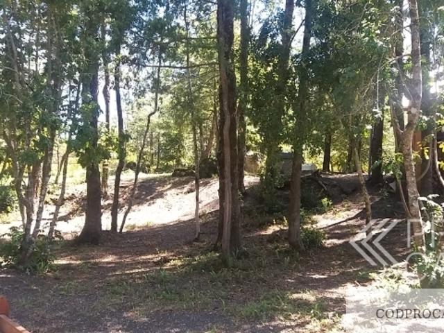 Camino A Caburgua Km 7/, Pucón