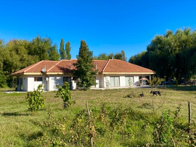 Camino A Duao/Maule, Maule