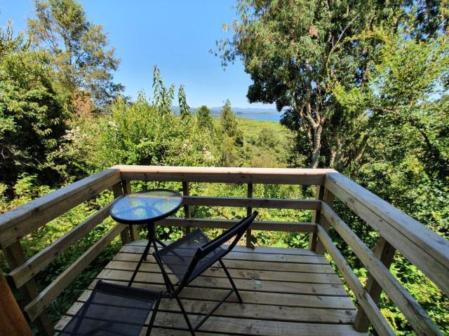 Camino A Rio Plata/ Pucón