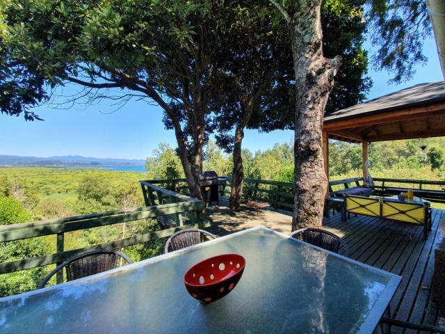 Camino A Rio Plata/ Pucón