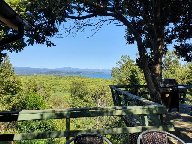 Camino A Rio Plata/ Pucón