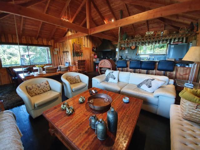 Camino A Rio Plata/ Pucón