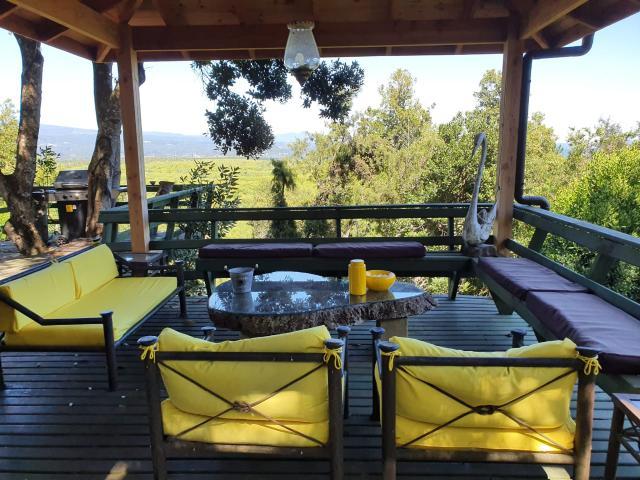 Camino A Rio Plata/ Pucón