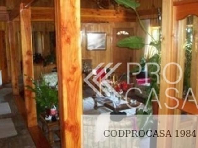 Camino Al Volcán/, Pucón