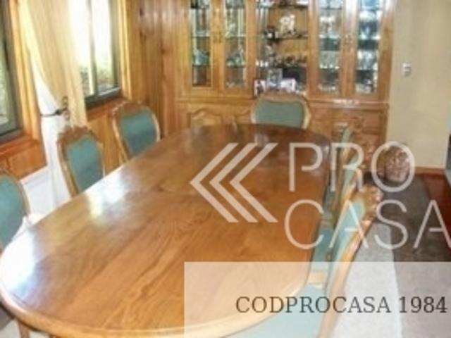 Camino Al Volcán/, Pucón