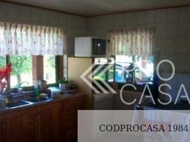 Camino Al Volcán/, Pucón