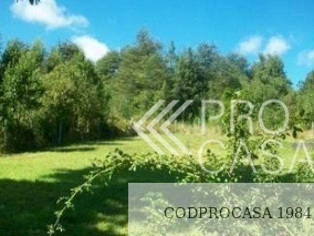 Camino Al Volcán/, Pucón