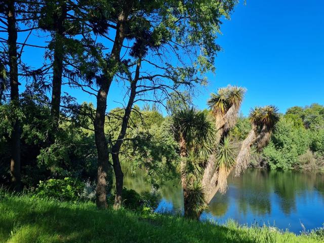 Terreno en venta en Alto Biobío, Biobío
