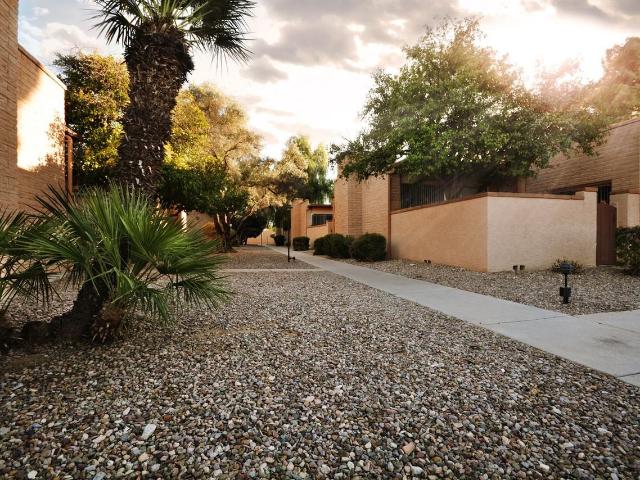 Apartment for rent in Tucson, Arizona
