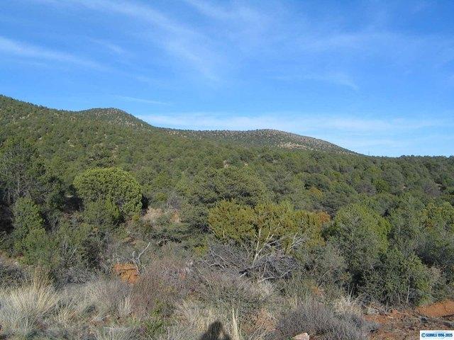 Land for sale in Silver City, New Mexico