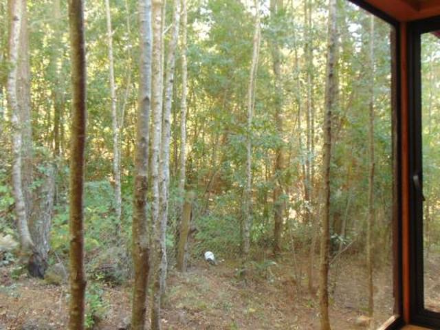 Camino Internacional/Pasaje Arriagada Parcela 5, Pucón