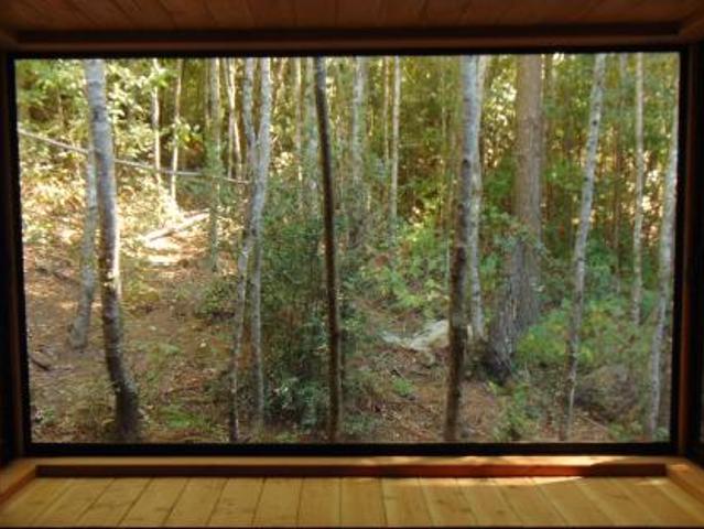 Camino Internacional/Pasaje Arriagada Parcela 5, Pucón