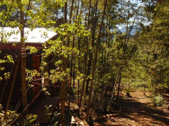 Camino Internacional/Pasaje Arriagada Parcela 5, Pucón