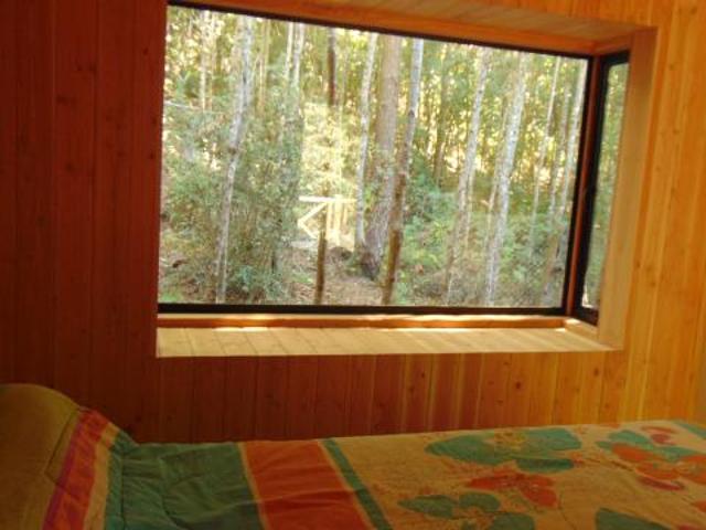 Camino Internacional/Pasaje Arriagada Parcela 5, Pucón