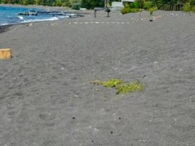 Camino Villarrica Pucón/x, Pucón