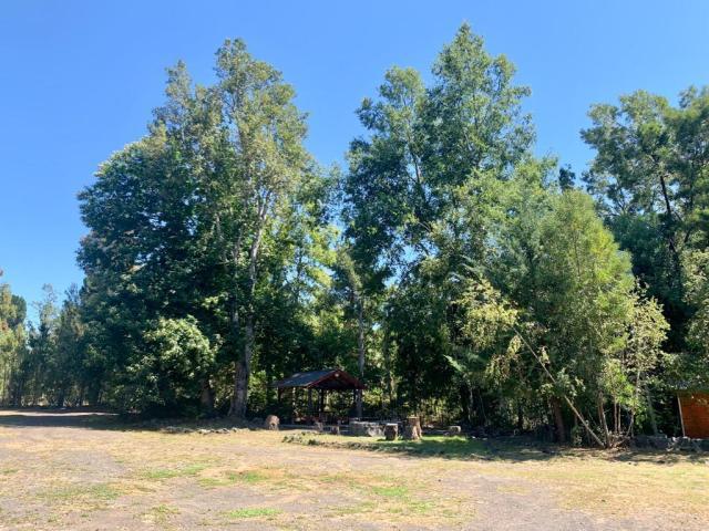 Camino Villarrica Pucón/x, Pucón