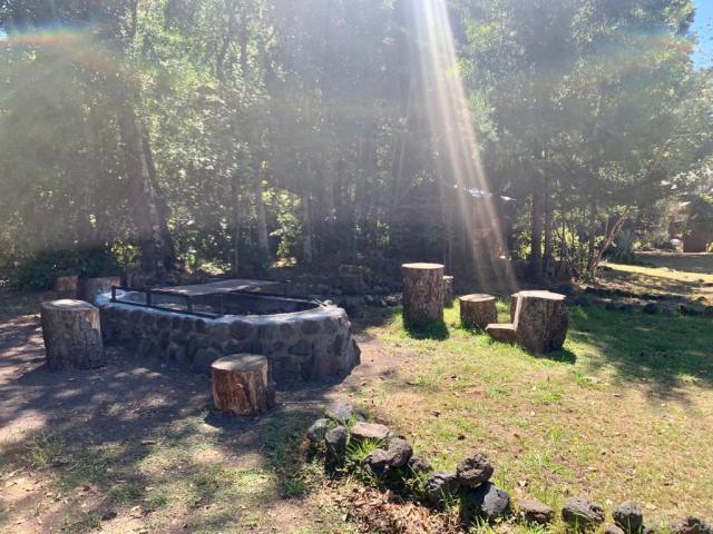 Camino Villarrica Pucón/x, Pucón