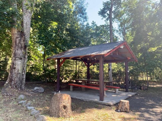 Camino Villarrica Pucón/x, Pucón