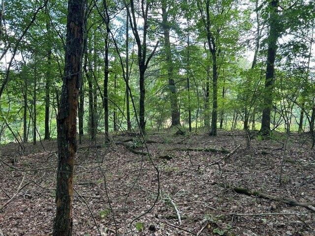 Land for sale in Ellijay Land for sale in Ellijay