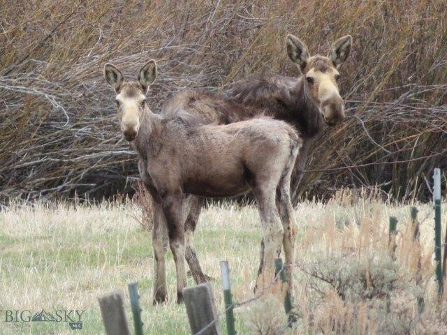 Land for sale in Butte, Montana