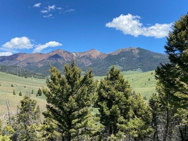Land for sale in Butte, Montana