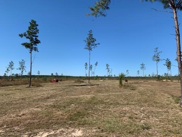 Land for sale in Dequincy, Louisiana
