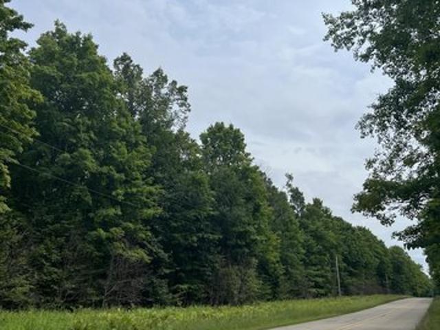 Land for sale in Crystal Falls, Iron County