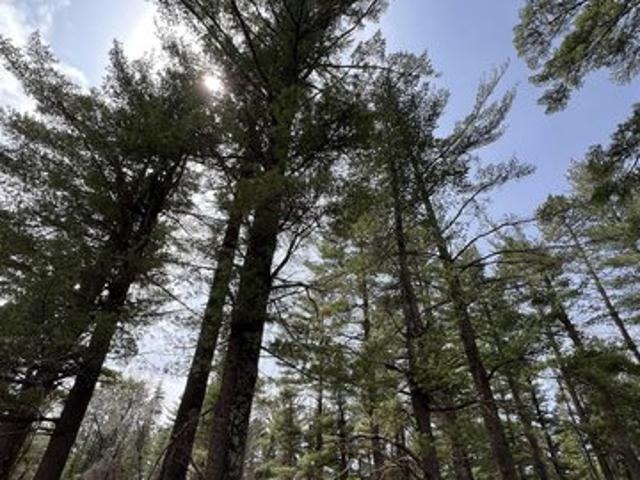 Land for sale in Brimson, Minnesota