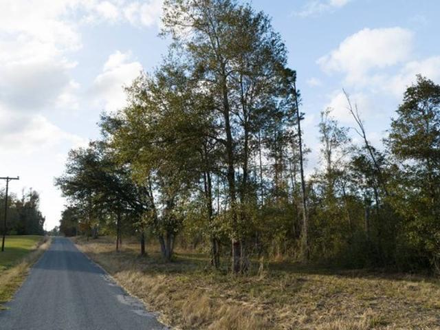 Land for sale in Reeves, Louisiana