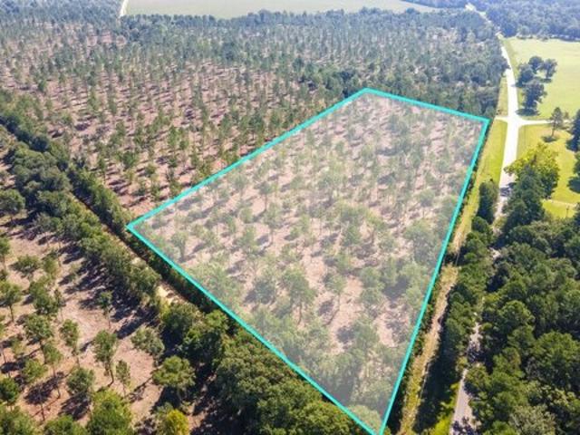 Land for sale in Wagener, South Carolina