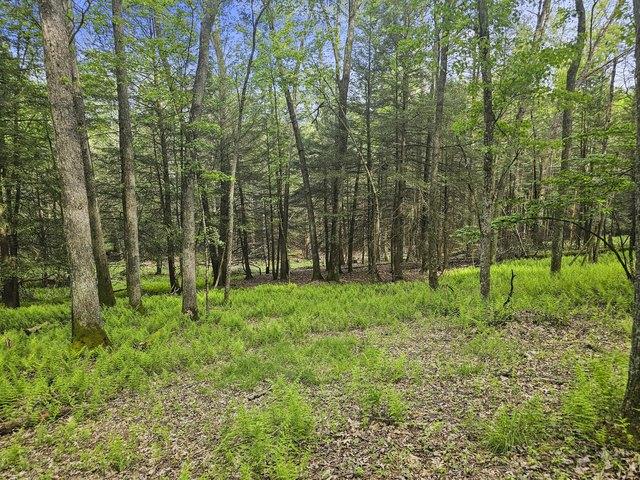 Land for sale in Clearfield, Pennsylvania