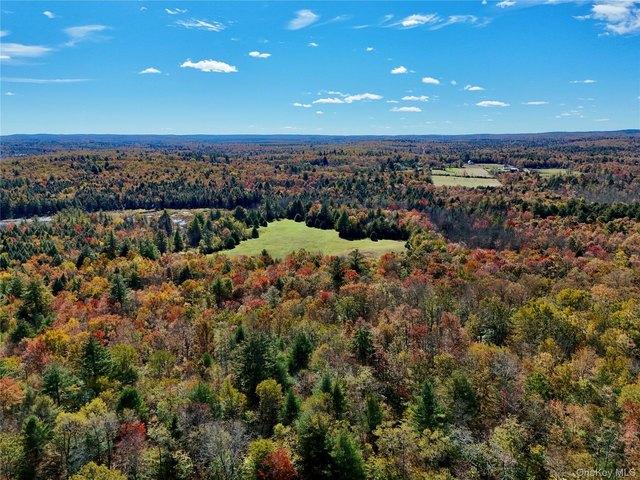 Land for sale in Village of Ellenville, Town of Wawarsing