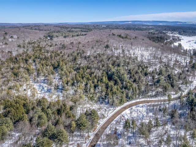 Land for sale in Village of Ellenville, Town of Wawarsing