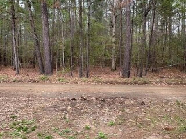 Land for sale in Hemphill, Texas