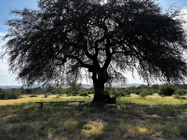 Land for sale in Camp Wood, Texas