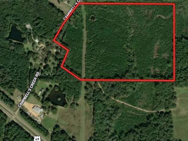Land for sale in Mendenhall, Mississippi