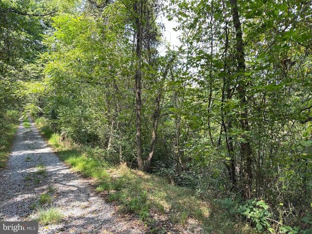 Land for sale in Virginia