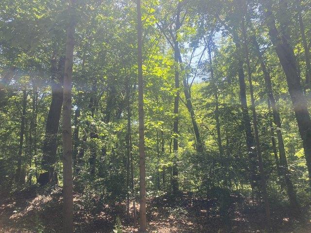 Land for sale in La Porte, Indiana