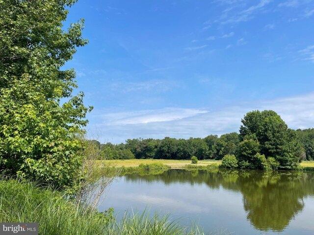 Land for sale in Bishopville