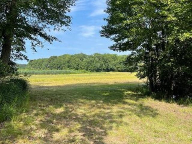 Land for sale in Bishopville