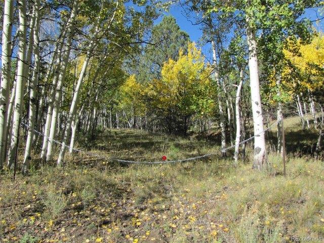 Land for sale in Hartsel, Colorado